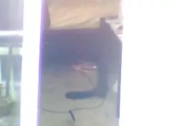 متسابق سكسي مساج فرنسي الفرخ دون حزام الأمان